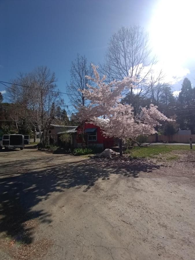 Bigfoot Rv & Cabins Park Happy Camp Экстерьер фото